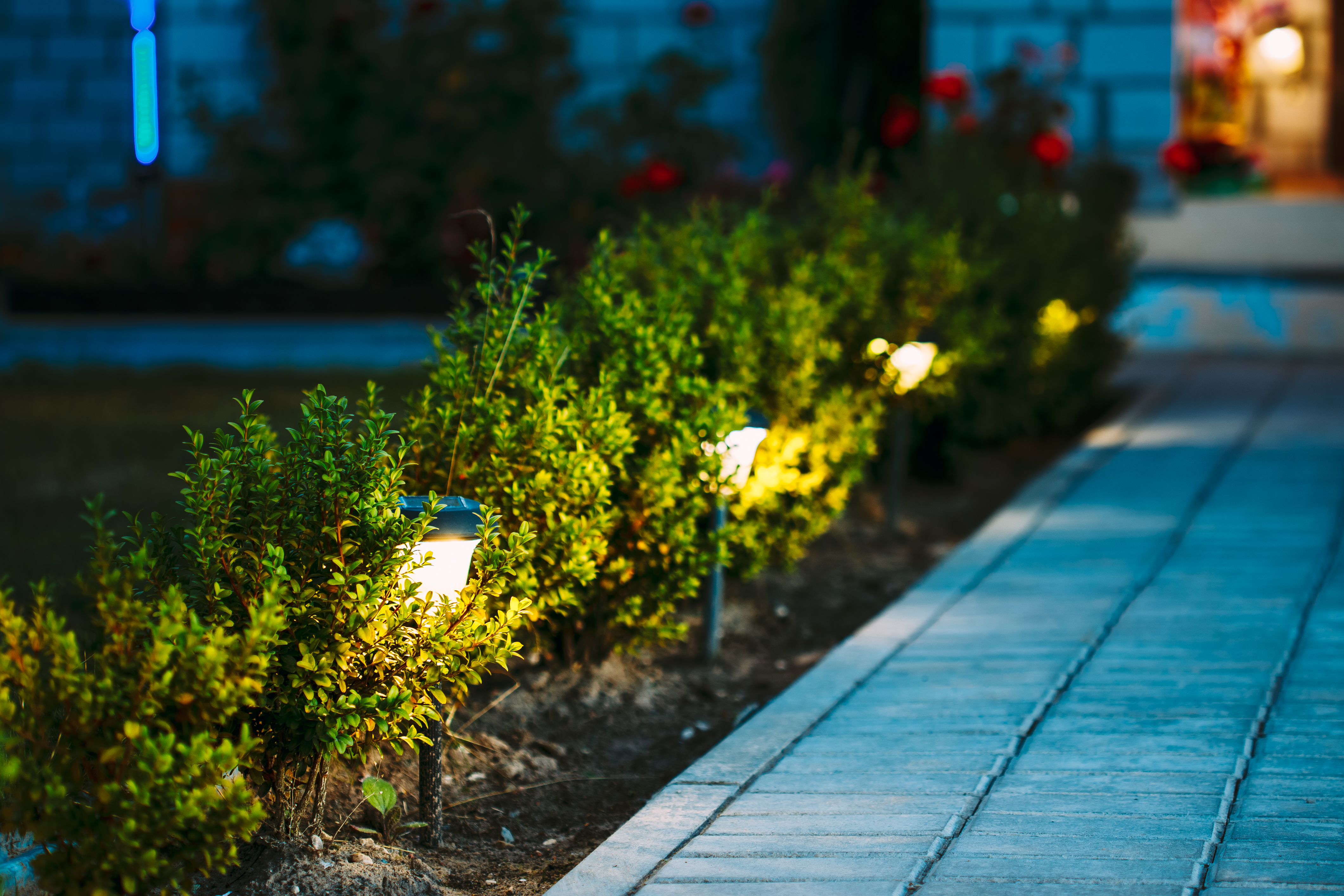 Garden lighting at night